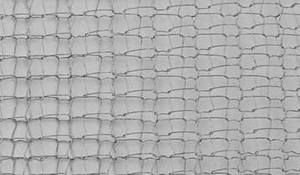 How much do you know about Nickel Wire Mesh?
